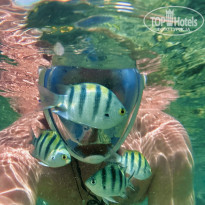 фото из отзыва ID 2746586