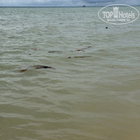 фото из отзыва ID 2746635