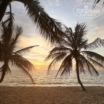 фото из отзыва ID 2746635