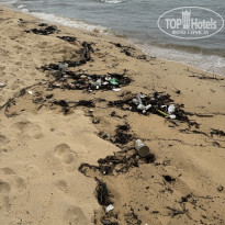 фото из отзыва ID 2746635