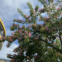 фото из отзыва ID 2746679