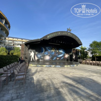 фото из отзыва ID 2746679