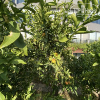 фото из отзыва ID 2746679