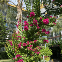 фото из отзыва ID 2746679