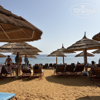 фото из отзыва ID 2746680