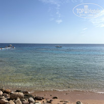 фото из отзыва ID 2746680