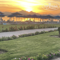 фото из отзыва ID 2746706