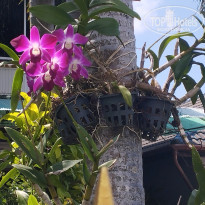 фото из отзыва ID 2746712