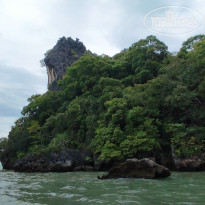 фото из отзыва ID 2746712