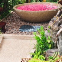 фото из отзыва ID 2746712