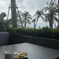 фото из отзыва ID 2746714