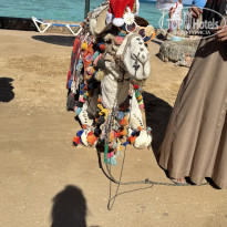 фото из отзыва ID 2746722