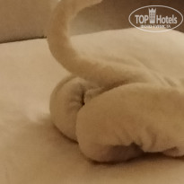 фото из отзыва ID 2746745