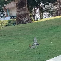 фото из отзыва ID 2746745