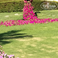 фото из отзыва ID 2746745