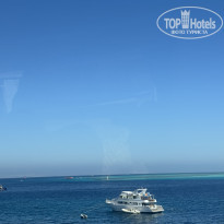 фото из отзыва ID 2746767