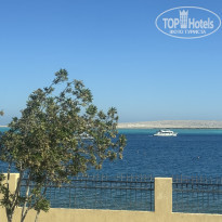 фото из отзыва ID 2746767