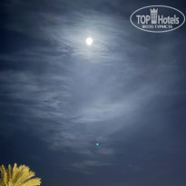 фото из отзыва ID 2746785