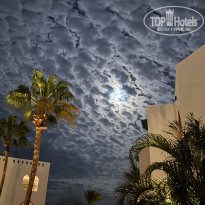 фото из отзыва ID 2746785