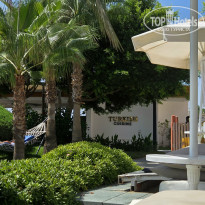 фото из отзыва ID 2746848