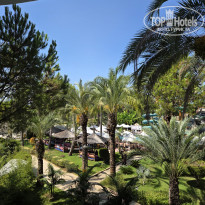 фото из отзыва ID 2746848