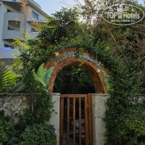 фото из отзыва ID 2746848