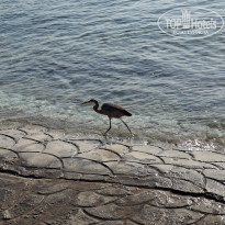 фото из отзыва ID 2746852