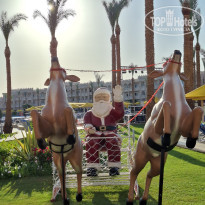 фото из отзыва ID 2746852