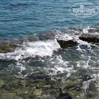 фото из отзыва ID 2746852