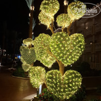 фото из отзыва ID 2746852