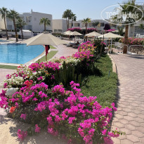 фото из отзыва ID 2746855