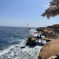 фото из отзыва ID 2746855