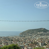 фото из отзыва ID 2746909