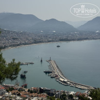 фото из отзыва ID 2746909