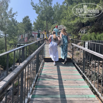 фото из отзыва ID 2746909