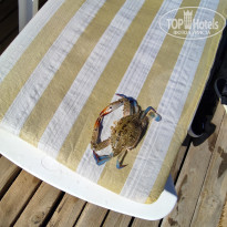 фото из отзыва ID 2746904