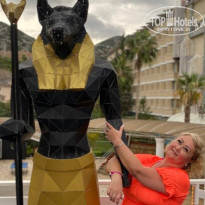 фото из отзыва ID 2746904