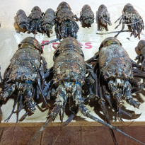 фото из отзыва ID 2746953