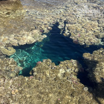 фото из отзыва ID 2746970