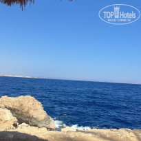 фото из отзыва ID 2746970