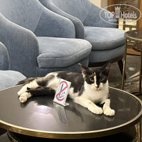 фото из отзыва ID 2746970