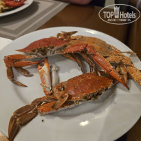 фото из отзыва ID 2746971