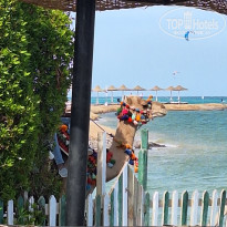 фото из отзыва ID 2746971