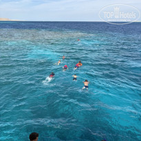 фото из отзыва ID 2746971