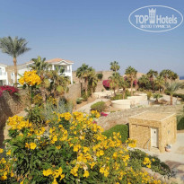 фото из отзыва ID 2746995