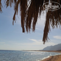 фото из отзыва ID 2746995