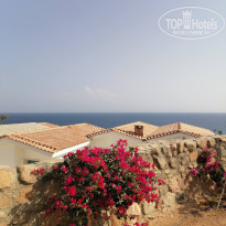 фото из отзыва ID 2746995