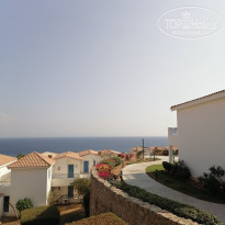 фото из отзыва ID 2746995