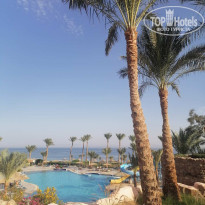 фото из отзыва ID 2746995