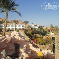 фото из отзыва ID 2746995